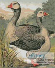 TOULOUSE GEESE CROSS STITCH PATTERN